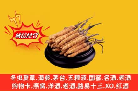 盐城市射阳求购回收虫草多少钱每克
